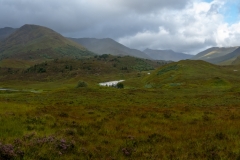 DSC_0536-Pano