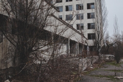 DSC_8116