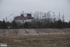 DSC_8165
